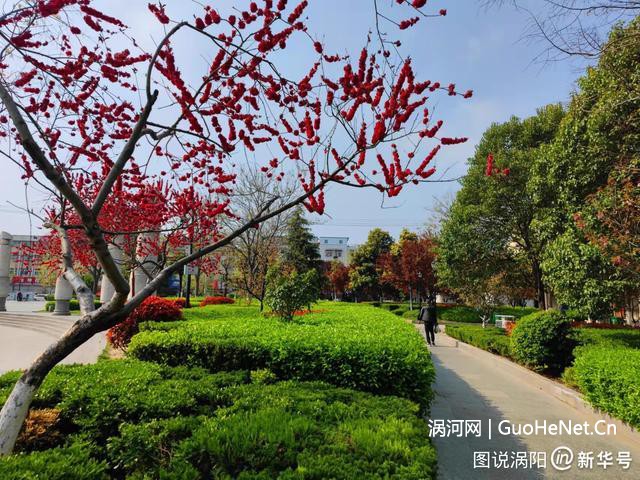 老子故里渦陽(yáng):老子文化廣場(chǎng) 微雨潤(rùn)春色,紫陌染芳菲